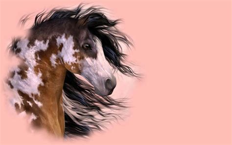 Free Download Black And White Paint Horse Wallpaper Full Wallpaper Size