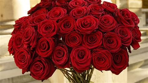 Hd Wallpaper Beautiful Red Roses Flowers Bouquet Bouquet Of Red