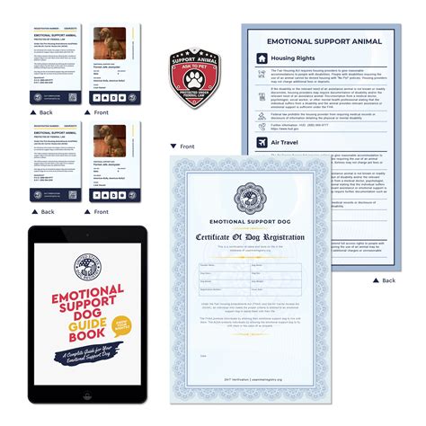 My emotional support dog's esa letter along with the reasonable accommodation form from your mental health provider was everything i needed. Emotional Support Dog Kit Basic - US Dog Registry