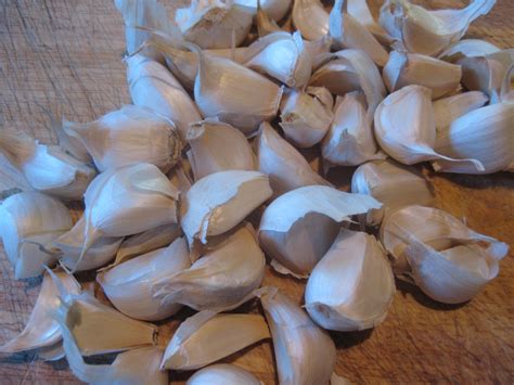 Clove of garlic both treat and prevent illnesses. Chicken with 40 Cloves of Garlic