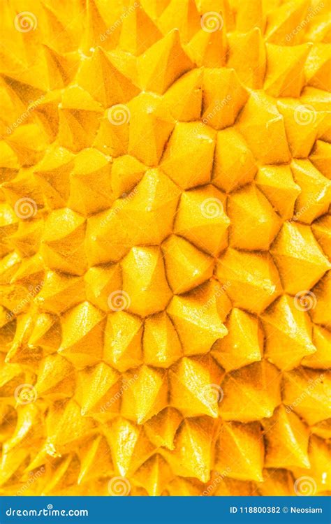 Abstract Durian Fruit Thorns Stock Photo Image Of Food Aroma 118800382