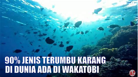 Taman Nasional Wakatobi Wakatobi National Park Welcome To Wakatobi Youtube