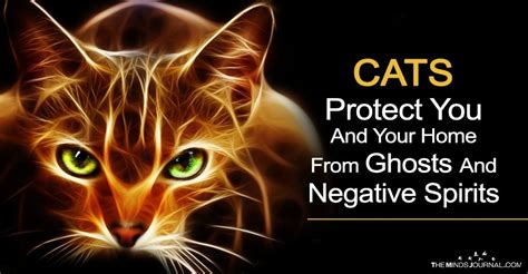 Can Cats Protect You From Ghosts And Negative Spirits What Does