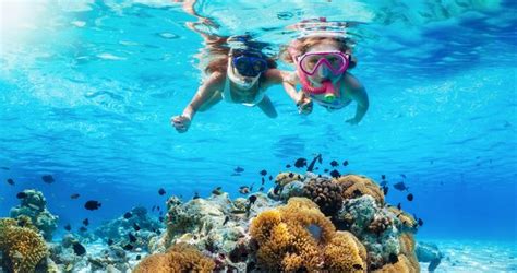 25 Best Snorkeling Spots In Florida