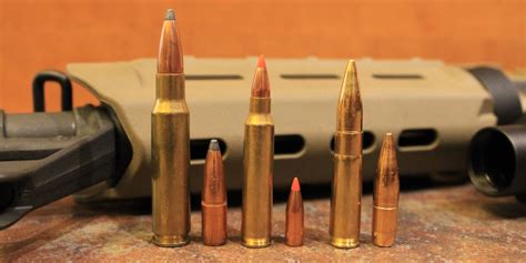 223556 Vs 300 Blackout Vs 308 Winchester Which Is Best