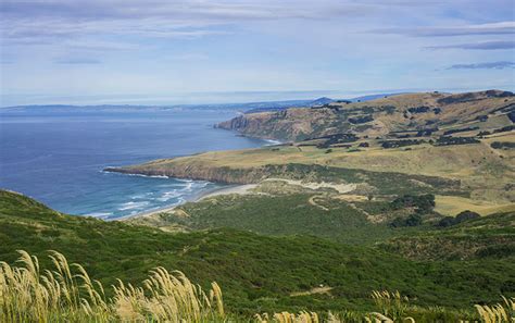 Sandymount Recreation Reserve Dunedin See The South Island Nz Travel Blog