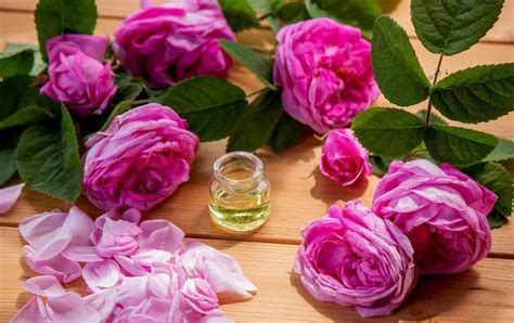 Premium Photo Rose Flower And Essential Oil Spa And Aromatherapy