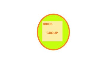 Includes plurals & group names for birds including fledgelings, finches, poultry etc. BIRDS GROUP NAMES - 10 QUESTIONS & ANSWERS by ...