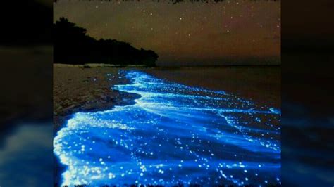 Bioluminescent Bay Puerto Rico Natural Wonders Youtube