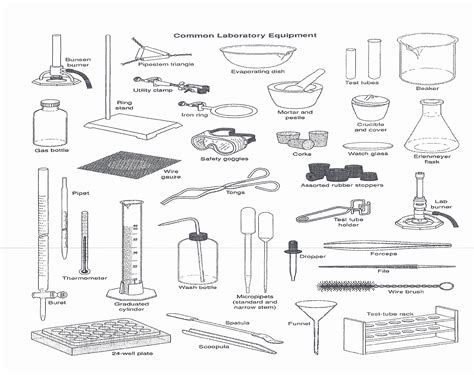 50 Chemistry Lab Equipment Worksheet