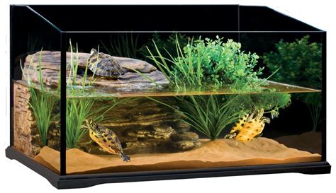 And no matter what people say. Turtle Tank - for the Well Being of Your Turtles - Info Turtle