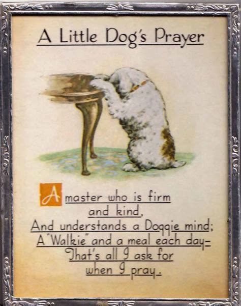 A few years ago our beloved dog, pepper, got sick and died. A little dog's prayer | Flickr - Photo Sharing!
