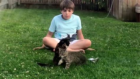 How To Tame A Feral Kitten Using 5 Steps Taming Teke Part 1 Youtube