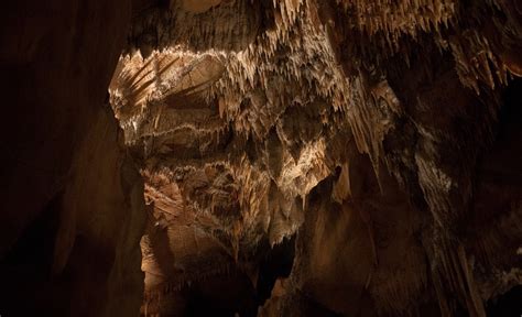 The Ten Best Caves To Visit Near Sydney Concrete Playground Sydney