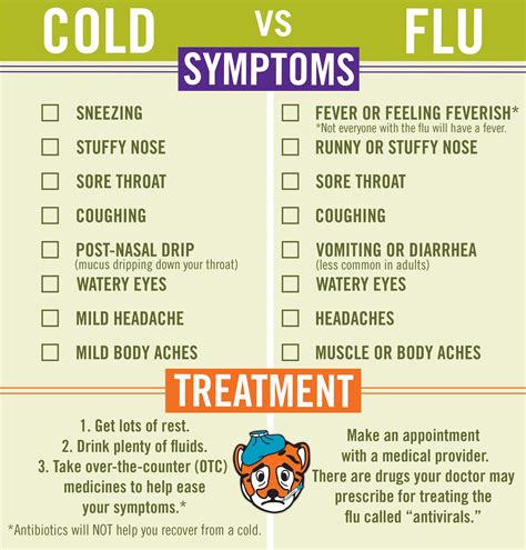 Cold VS Flu Symptoms - Holistic Meaning
