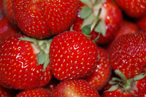 Leckere Erdbeeren Foto & Bild | pflanzen, pilze & flechten, früchte und ...