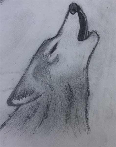 Howling Wolf Drawing Easy Drawings Sketches Wolf Drawing Cool Wolf