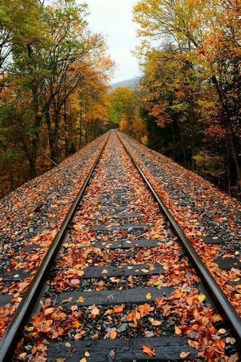 Pin By Meredith Seidl On Trains And Tracks Autumn Scenery Scenic
