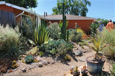 Oc cactus & succulent show 2019. Succulents and More: Ruth Bancroft Garden July 2017 ...
