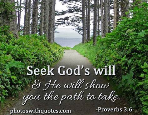 Seek Gods Will And He Will Show You The Path To Take Proverbs 36