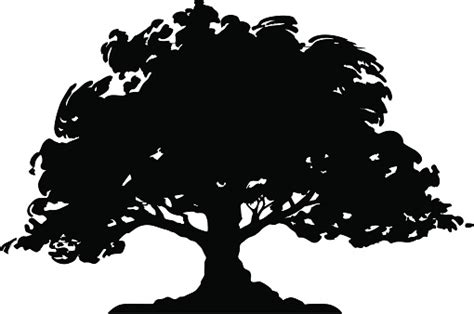 Oak Tree Clip Art Vector Images And Illustrations Istock