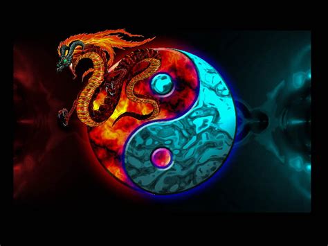 Yin And Yang Some Awesome Background High Definition All Cool