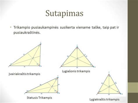 Trikampio Pusiaukampinės Ir Pusiaukraštinės Integruotas Matematikos