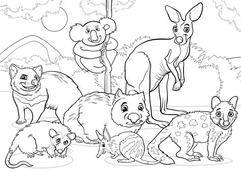 Kolorowanka “miś Koala Kangur I Zwierzęta Z Australii” Do Druku