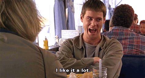 40 dumb and dumber quotes for fans of the movie 1. You Won't Want To Miss Lidl's Amazing Paddling Pool Deal!