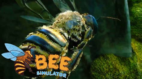 Bee Simulator Ar Xbox One Xbox Series Xs Cd Key Buy Cheap On