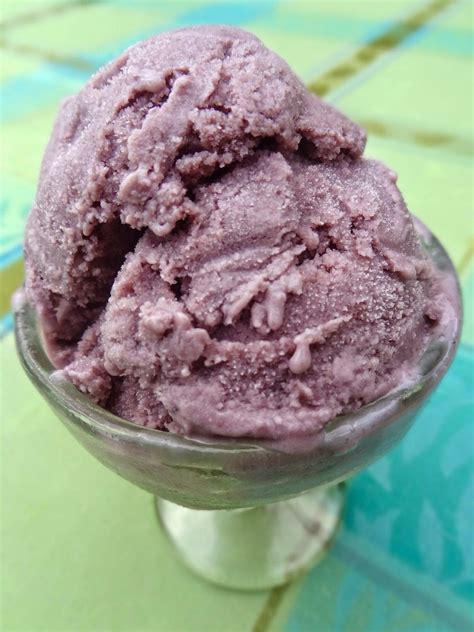 Scrumpdillyicious Homemade Blueberry Ice Cream