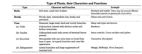 Neet Biology Notes Transport In Plants Cbse Tuts Vrogue