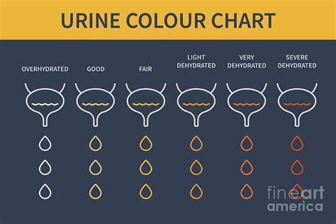 Urine Colour Chart 3 Photograph By Art4stock Science Photo Library