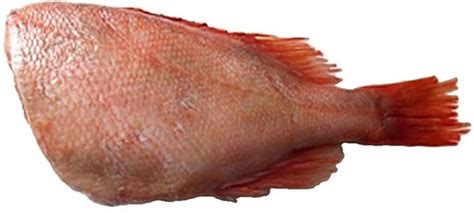 Red Bream Fish 2kg