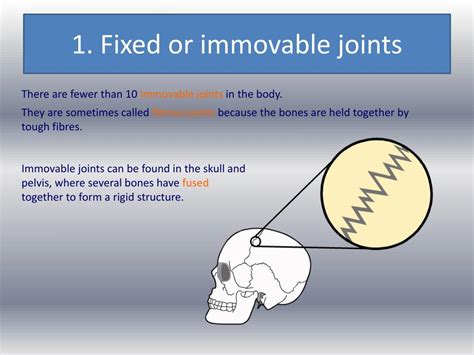 Ppt Joints And Their Classifications Powerpoint Presentation Free