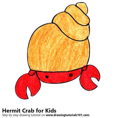 They carry a snail shell on their body to protect. Learn How to Draw a Hermit Crab for Kids (Animals for Kids ...