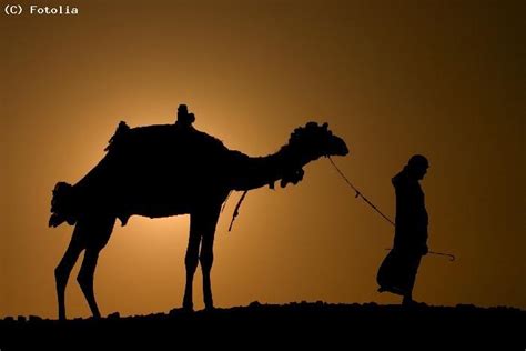 Item 2 prophet muhammad & the crying camel, paperback by taib, saadah; Guide en Libye : guide touristique pour visiter la Libye ...