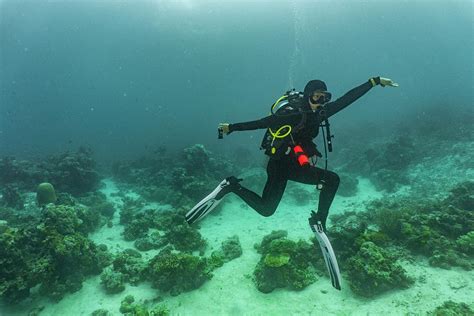 Female Scuba Diver Striking A Pose Photograph By Henn Photography