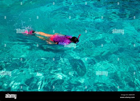 Snorkeling Ambergris Caye Belize Stock Photo Alamy