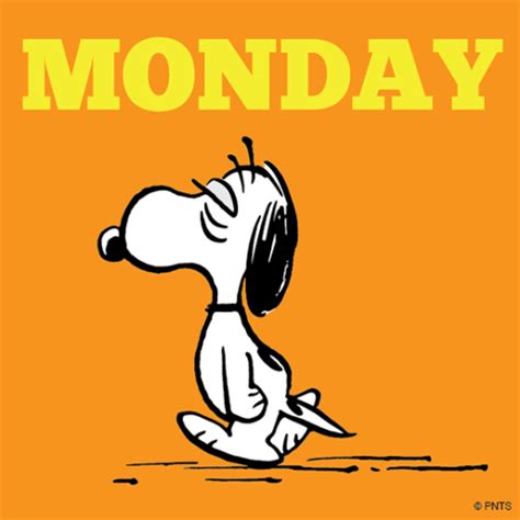 snoopy on Tumblr Msie 6.0 snoopy is a php class that simulates a web browser.