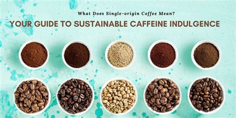 What Does Single Origin Coffee Mean Your Guide To Sustainable