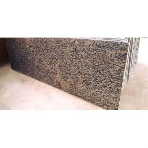 Tiger Skin Granite Slab At Rs 35 Square Feet Granite Slab In Ajmer