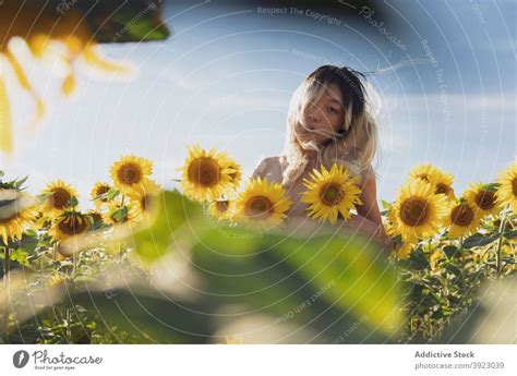 Ethnic Woman With Naked Body Standing In Sunflower Field A Royalty