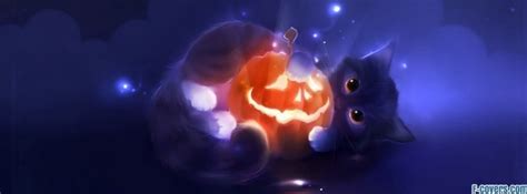 Cat With A Halloween Pumpkin Facebook Cover Timeline Photo