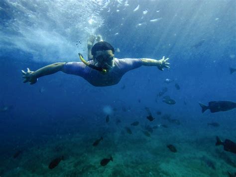 Context sentences for tukang in english. Wisata Lengkap Ke Kepulauan Tukang Besi, Pulau Binongko di ...