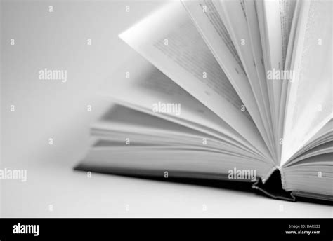Open Book White Background White Pages Black And White Stock Photos