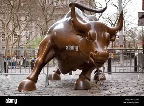 Bronze Bull Statue At Bowling Green In Lower Manhattan New York City