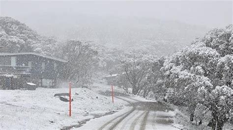 Snow Falling In Australia In Summer That Is All