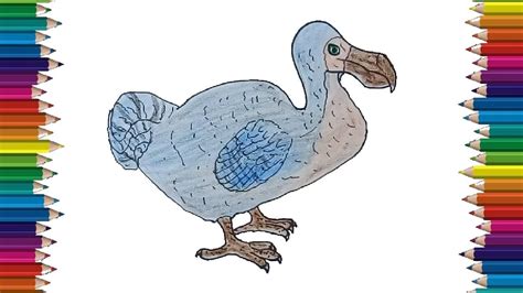 How To Draw A Dodo Step By Step Dodo Drawing And Coloring For Kids
