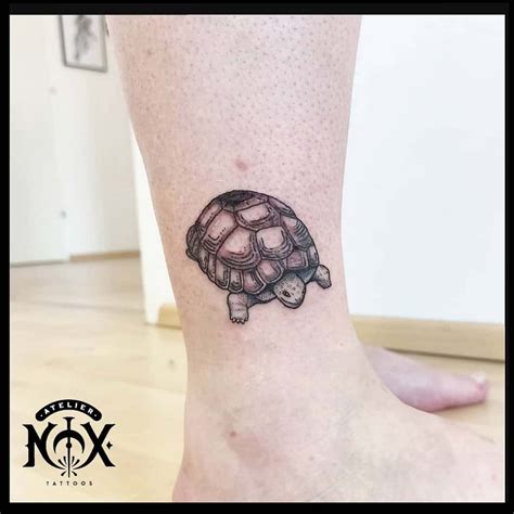 Update More Than 125 Tortoise Tattoo Images Vn